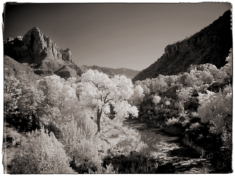 Zion View Infrared in Zion National Park, UT � Dave Hickey